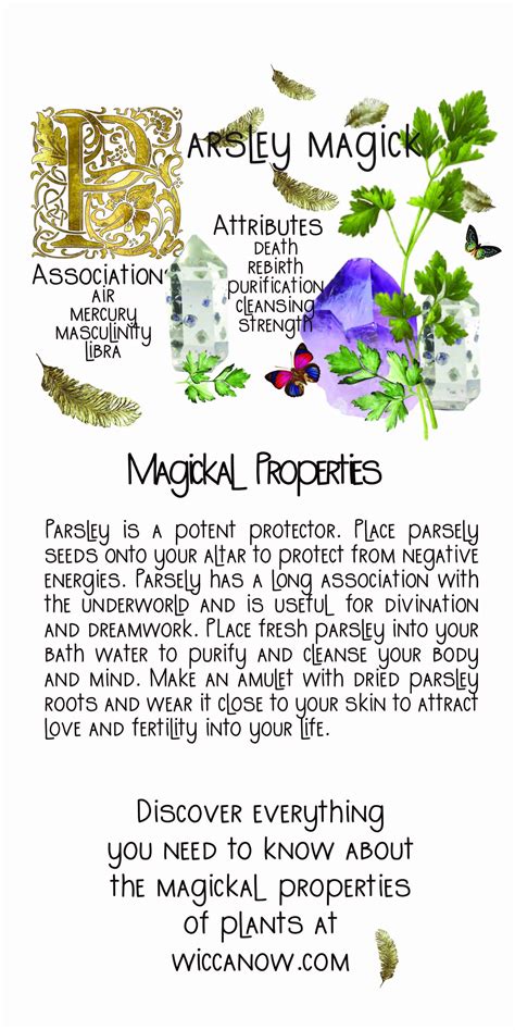 Herbs for shielding in wicca